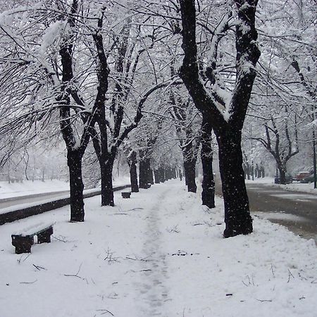 Sophies World Apartment Sarajevo Luaran gambar